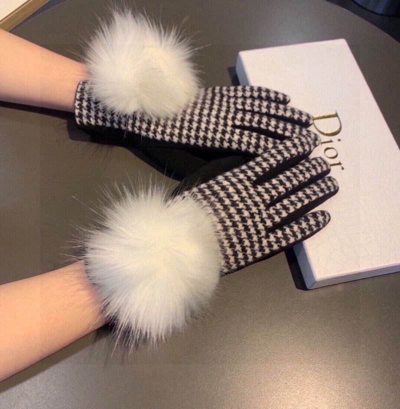 Christian Dior Gloves